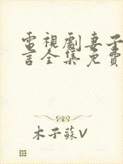 电视剧妻子的谎言全集免费播放