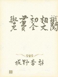 与君初相识小说免费全文阅读