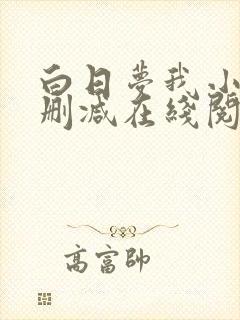 白日梦我小说无删减在线阅读