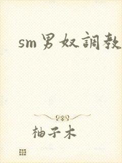 sm男奴调教文