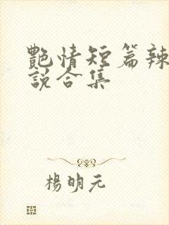 艳情短篇辣文小说合集封面