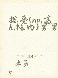 总受(np,高h,纯肉)男男文