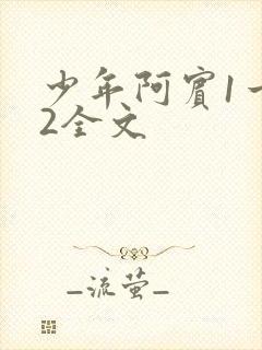 少年阿宾1一72全文