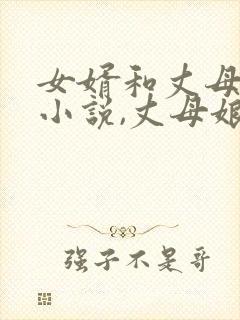 女婿和丈母娘的小说,丈母娘是双胞胎的