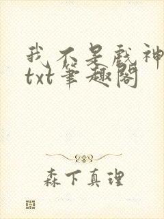 我不是戏神小说txt笔趣阁
