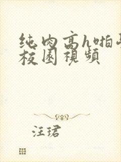 纯肉高h啪学生校园视频