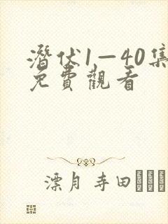 潜伏1—40集免费观看