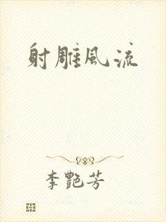 射雕风流封面