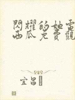 闪耀的她电视剧西瓜免费观看