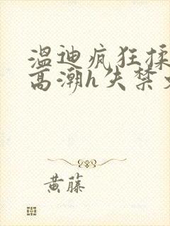 温迪疯狂揉肉蒂高潮h失禁文封面