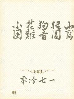 小花狗爬山不怕困难看图写话二年级