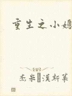 重生之小媳妇封面