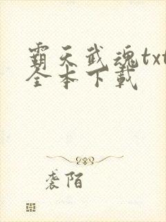 霸天武魂txt全本下载