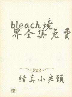 bleach境界全集免费观看高清无删减版完整版封面