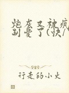 炮灰又被疯批强制爱了(快/穿