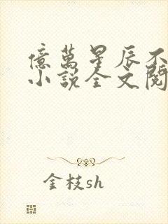 亿万星辰不及你小说全文阅读