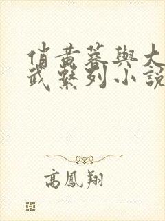 俏黄蓉与大武小武系列小说封面