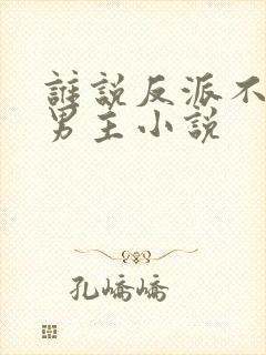 谁说反派不能当男主小说