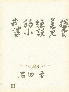 我的绝美总裁老婆小说免费阅读全文