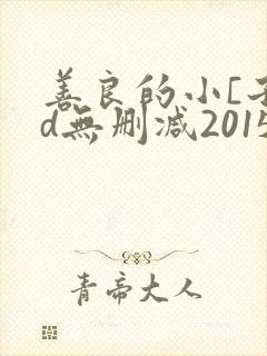 善良的小[子hd无删减2015