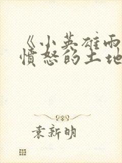 《小英雄雨来》愤怒的土地读后感