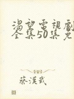 渴望电视剧高清全集50集免费观看