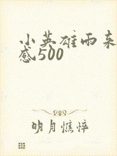 小英雄雨来读后感500