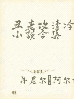 丑老攻清冷美人小说合集