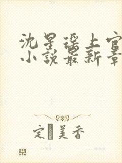 沈星瑶上官容渊小说最新章节列表封面