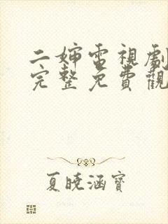 二婶电视剧全集完整免费观看高清封面