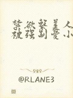 禁欲系美人总是被强制爱小说封面