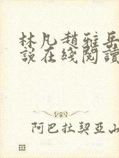 林凡赵雅岳母小说在线阅读封面