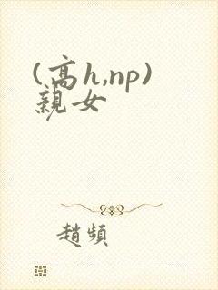 (高h,np)亲女