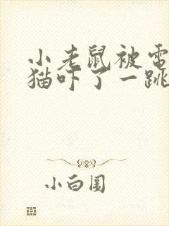 小老鼠被电脑的猫吓了一跳看图写话封面