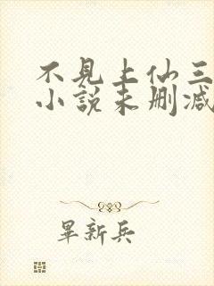 不见上仙三百年小说未删减在线看封面