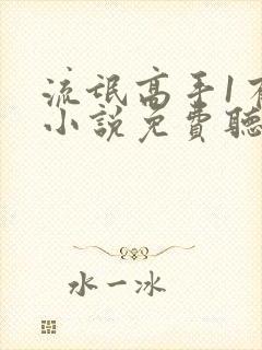 流氓高手1有声小说免费听封面