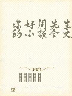 你好周先生夜蔓的小说全文免费阅读封面