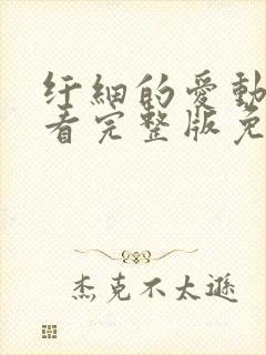 纤细的爱动漫观看完整版免费观看