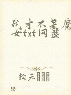 我才不是魔法少女txt网盘
