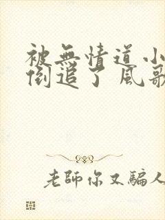 被无情道小师弟倒追了 风歌且行 小说