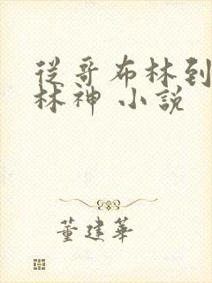 从哥布林到哥布林神 小说