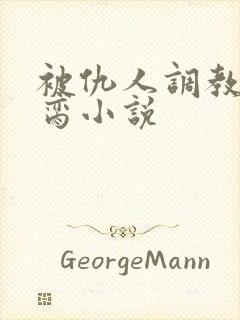 被仇人调教成禁脔小说