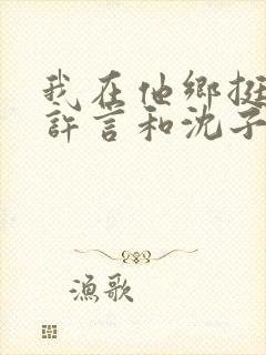 我在他乡挺好的许言和沈子畅结局