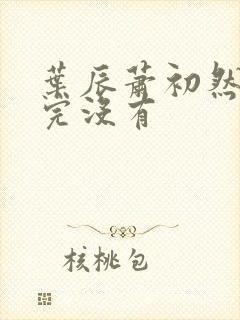 叶辰萧初然更新完没有封面