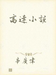高达小说封面