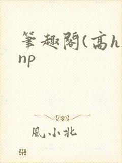 笔趣阁(高h)np