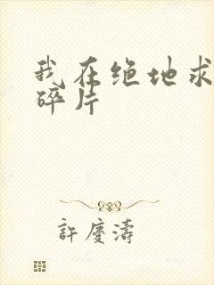 我在绝地求生捡碎片