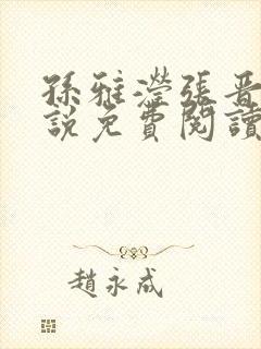 孙雅滢张晋的小说免费阅读无弹窗