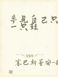 梦见自己只穿了一只鞋