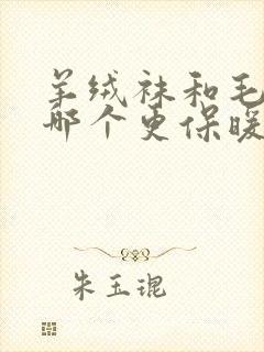 羊绒袜和毛圈袜哪个更保暖封面